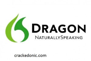 dragon naturally speaking software type