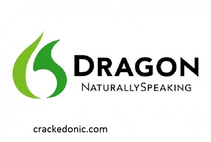 Dragon Naturally Speaking 