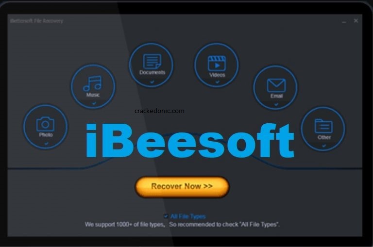 IBeesoft Data Recovery 4.1 Crack